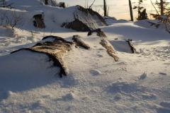 20200215_Dreisesselwanderung-14