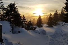 20200215_Dreisesselwanderung-19