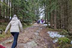 IMG-20240217-WA0028