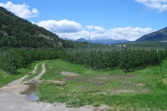 20-06-2009_transalp_CIMG0109