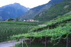 20-06-2009_transalp_CIMG0115