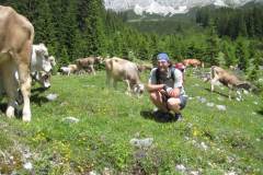 20-06-2009_transalp_IMG_1157
