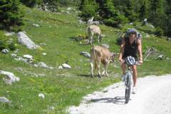 20-06-2009_transalp_IMG_1158