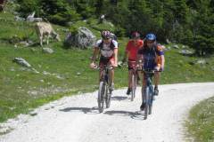 20-06-2009_transalp_IMG_1162