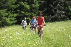 20-06-2009_transalp_IMG_1169