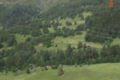 21-06-2009_3l_CIMG2401