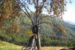 21-08-2009_mont-blonc_IMG_1301