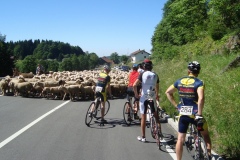 11-07-2010_dreisessel_DSC01644