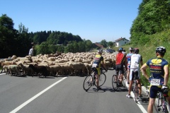 11-07-2010_dreisessel_DSC01645