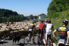 11-07-2010_dreisessel_DSC01646