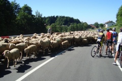 11-07-2010_dreisessel_DSC01647