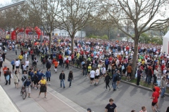 18-04-2010_wien_IMG_0998