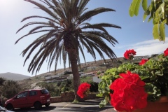 20-03-2010_fuerte_DSC00703