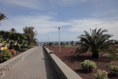 20-03-2010_fuerte_DSC00755