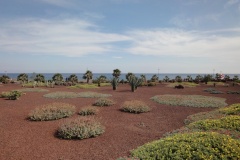 20-03-2010_fuerte_DSC00756