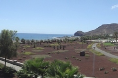 20-03-2010_fuerte_DSC01029