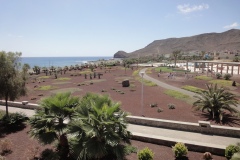 20-03-2010_fuerte_DSC01031