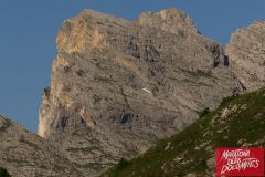 10-07-2011_maratona_sportograf-20029592_lowres