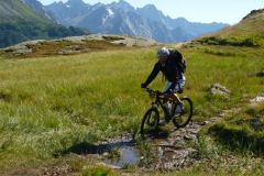 14-08-2011_zermatt_Zermatt20110113