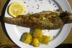 22-04-2011_karfreitagsausfahrt_GudisFotos019