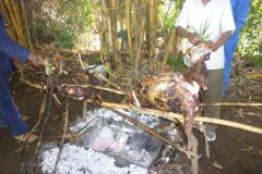 23-01-2011_-mike-kili_Killi2011015