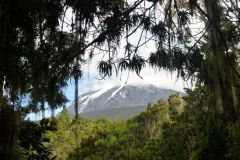 23-01-2011_-mike-kili_Killi2011016