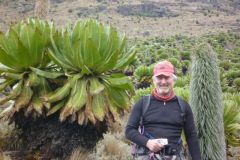 23-01-2011_-mike-kili_Killi2011019