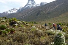 23-01-2011_-mike-kili_Killi2011022