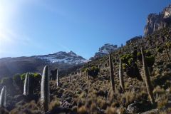 23-01-2011_-mike-kili_Killi2011026