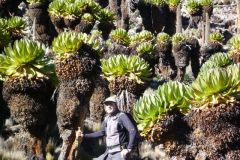 23-01-2011_-mike-kili_Killi2011027