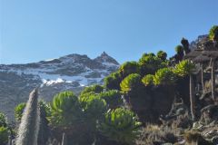 23-01-2011_-mike-kili_Killi2011029