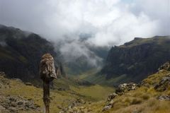 23-01-2011_-mike-kili_Killi2011044