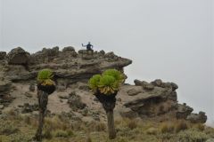 23-01-2011_-mike-kili_Killi2011046