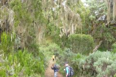 23-01-2011_-mike-kili_Killi2011048