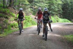 01-07-2012-mtb-falkenstein_01.07.2012-19
