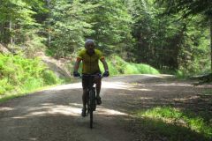 01-07-2012-mtb-falkenstein_01.07.2012-9