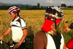 04-07-2012-mtb_MTB-Ausfahrt-04.07.2012-17