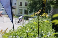 18-05-2012-schwarzenberg_17.06.201236