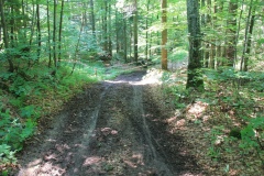 18-05-2012-schwarzenberg_IMG_6103