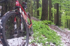 20160427_MTB-10