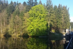 20160427_MTB-2