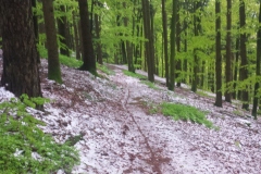 20160427_MTB-8
