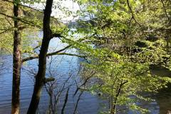 20160430_MTB-10