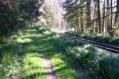 20160430_MTB-15