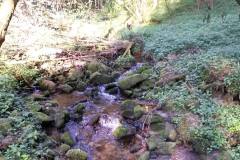 20160430_MTB-16