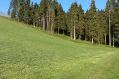 20160430_MTB-4