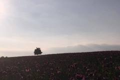 20160525_MTB_Gudi-4