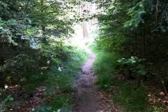 20160528_MTB-12