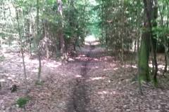 20160528_MTB-13