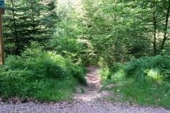 20160528_MTB-14